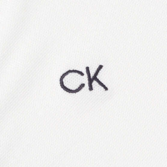 Calvin Klein  CANISTEO half sleeve polo white
