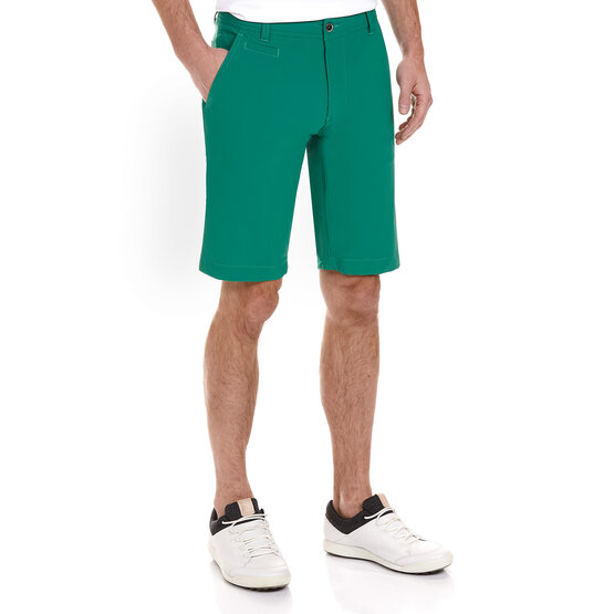 Daniel Springs  Carvico Revolutional Eco Bermuda trousers green